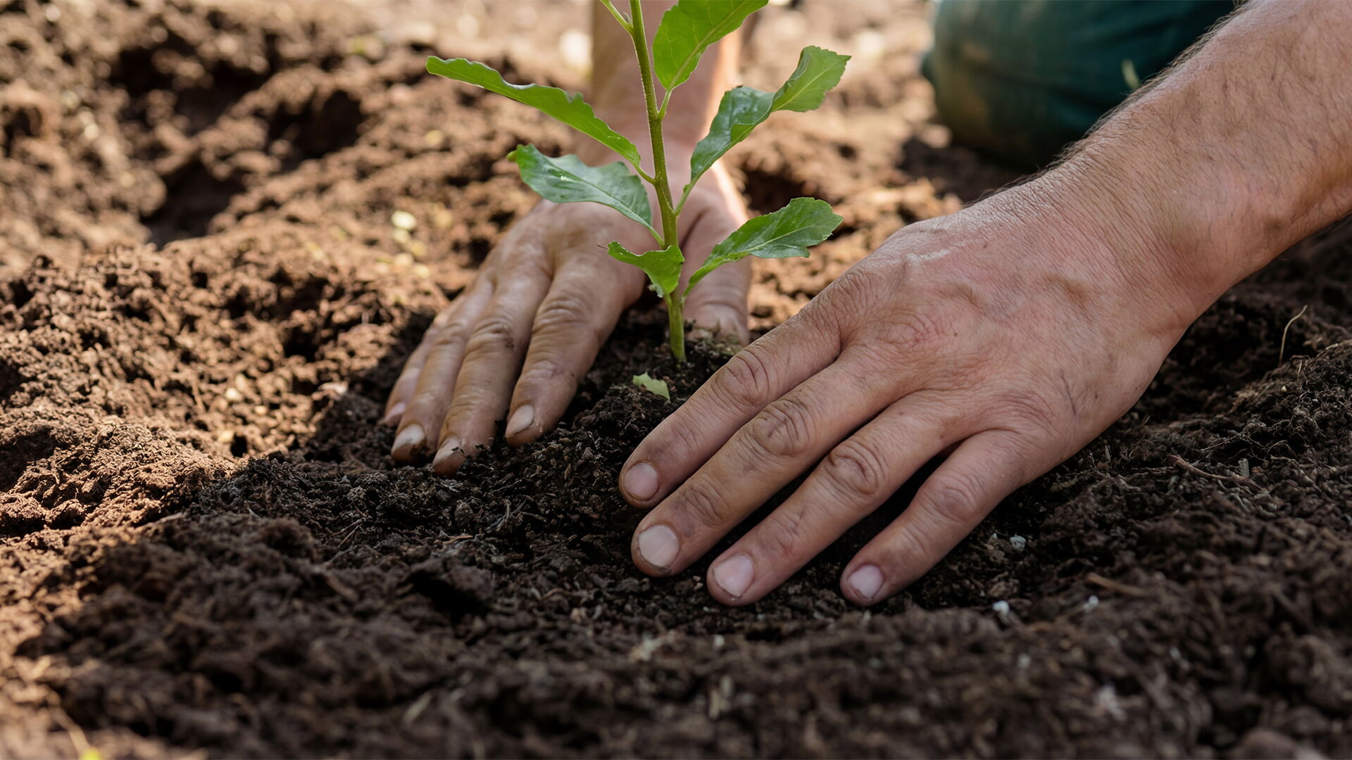Verantwortung und Nachhaltigkeit Gartenbau Sebastian Laub      
